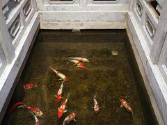 -鲤院·新中式美学·庭院餐厅(夫子庙店)