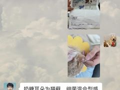 -联合动物医院(光谷诊疗中心)