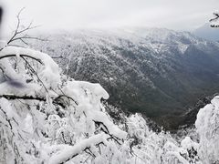 -瓦屋山景区