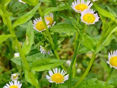 -渭河城市绿地运动公园