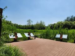 -翠湖国家城市湿地公园