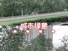 -三里屯东五街银杏大道