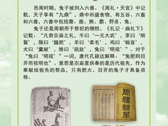 -齐文化博物馆