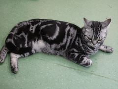 -藦茜花园宠物主题亲子互动体验馆(国顺东路店)