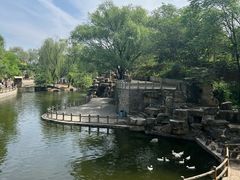 -石家庄市动物园