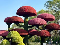 -沈阳植物园