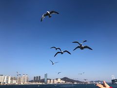 -黑石礁公园