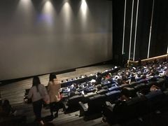 -英皇电影城(英皇集团中心IMAX店)