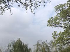 -武昌江滩
