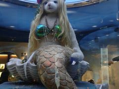 -成都泰迪熊博物馆