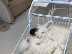 -怪兽屋·羊驼·猫咖·狗咖(俊华广场店)