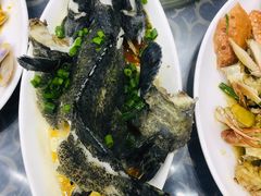 清蒸海鱼-七鲜渔港美食餐厅(巽寮湾海景店)