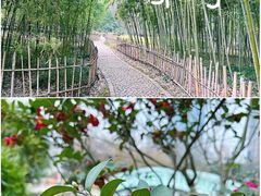 -新虹桥中心花园