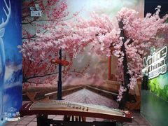 -深圳失恋博物馆再见前任(汇商名苑店)