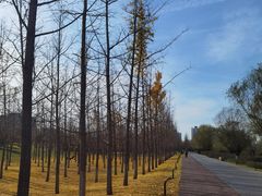 -汉长安城未央宫国家考古遗址公园