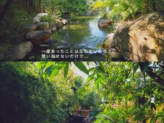 -清远熹乐谷温泉度假酒店