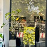 顺德大良探店｜U Ready山脚下咖啡店～