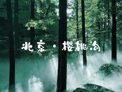 -国家植物园