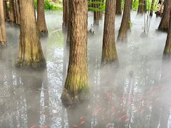 -东湖落雁景区