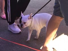 -北海金海湾红树林生态旅游区