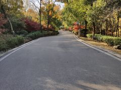 -南京市江宁方山