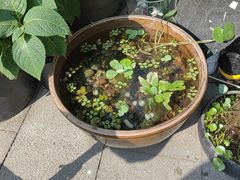 -川匠·睡眠采耳·SPA(九眼桥店)