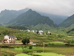 -涠洲岛香蕉鸡