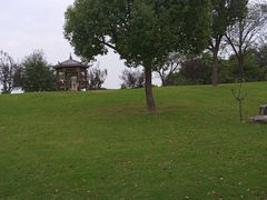 -广富林郊野公园