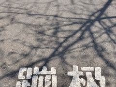 -星海蹦极娱乐