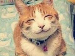 -永盈茶餐厅(中山四路店)