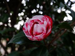 -华南国家植物园-售票处