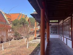 -报恩禅寺