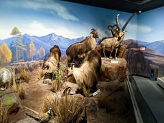 -陕西自然博物馆