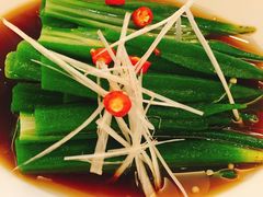 捞汁秋葵-国力仁和川菜(李家村店)