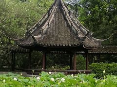 -上海醉白池公园