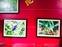 -上海昆虫博物馆