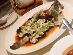 石锅古法蒸老虎斑-利苑酒家(华熙国际店)