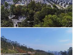-板樟山森林公园