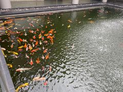 -太子园林酒家