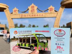 -金塔沙漠胡杨林景区