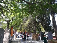 -嵩山少林文化旅游景区