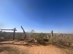 -亿利库布其七星湖沙漠生态旅游区