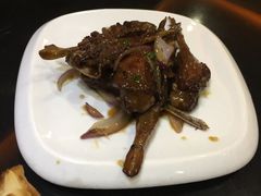 -OLD TREE老树咖啡·西餐厅(台山人工湖店)