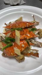 -锦江国际大酒店·宴会厅