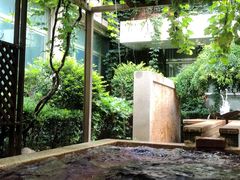 -春晖园度假酒店温泉