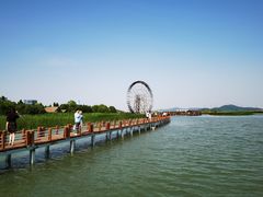 -苏州太湖湖滨国家湿地公园