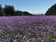 -云峰山自然风景区