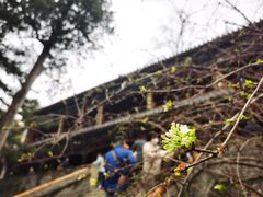 -潭柘寺景区