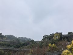 -福道