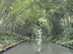 -同里国家湿地公园